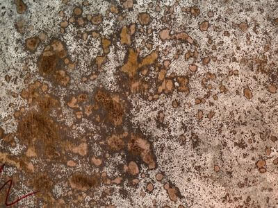 Professional commercial flood cleanup services in Daytona - water damage restoration service