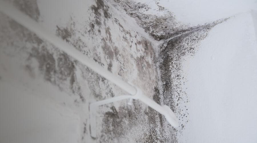 Why choose water damage restoration service for commercial flood cleanup in Daytona